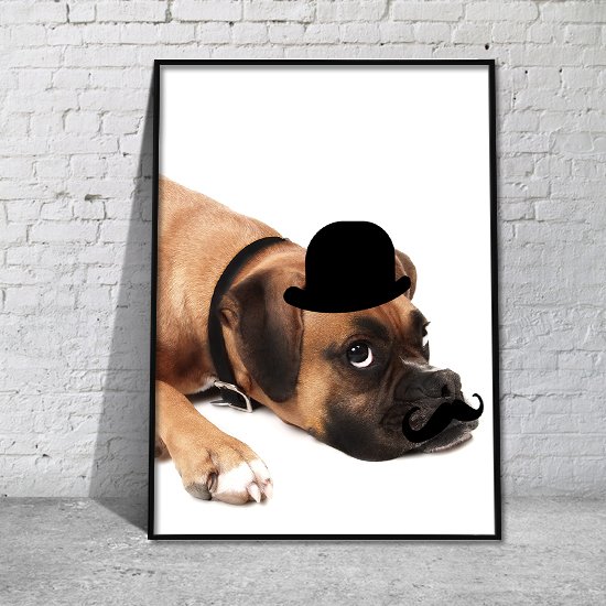 ozdoba na ścianę z psem w kapeluszu