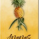 plakaty z ananasem