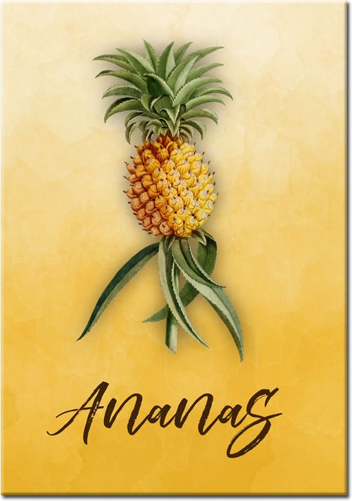 plakaty z ananasem