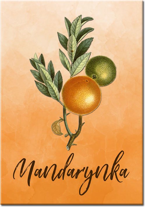 plakaty z mandarynkami