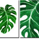 Dwa plakaty zielone liście