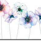 Plakat z kwiatkami