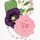 plakat fioletowo-różowy