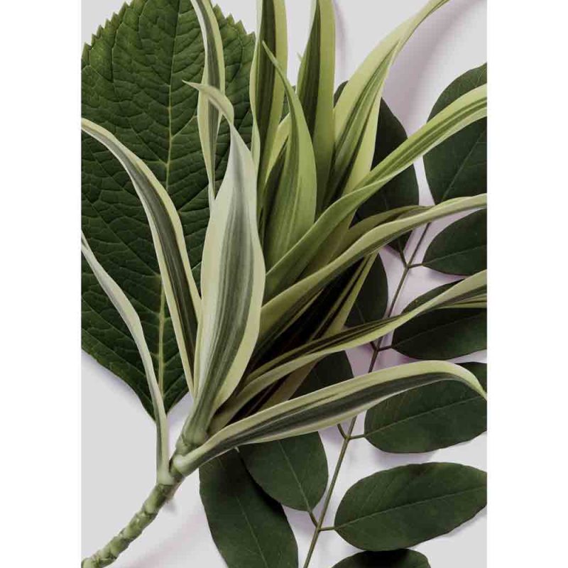 kuchnia zdobiona plakatem botanicznym kuchnia zdobiona plakatem botanicznym