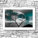 Plakat drzewo i księżyc
