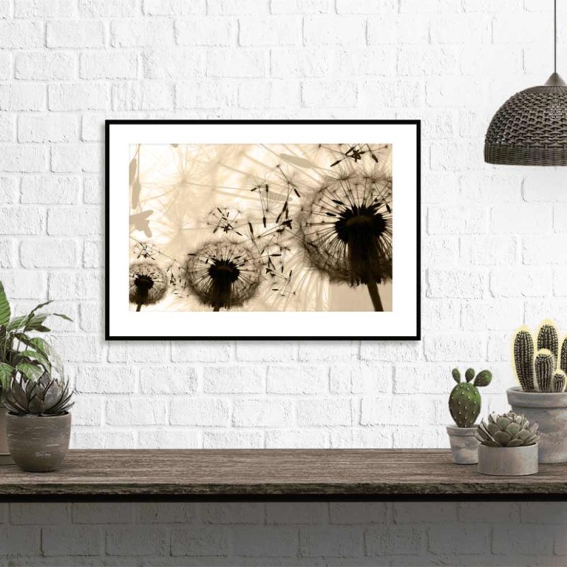 Plakat beżowy z dmuchawcami Plakat dmuchawce