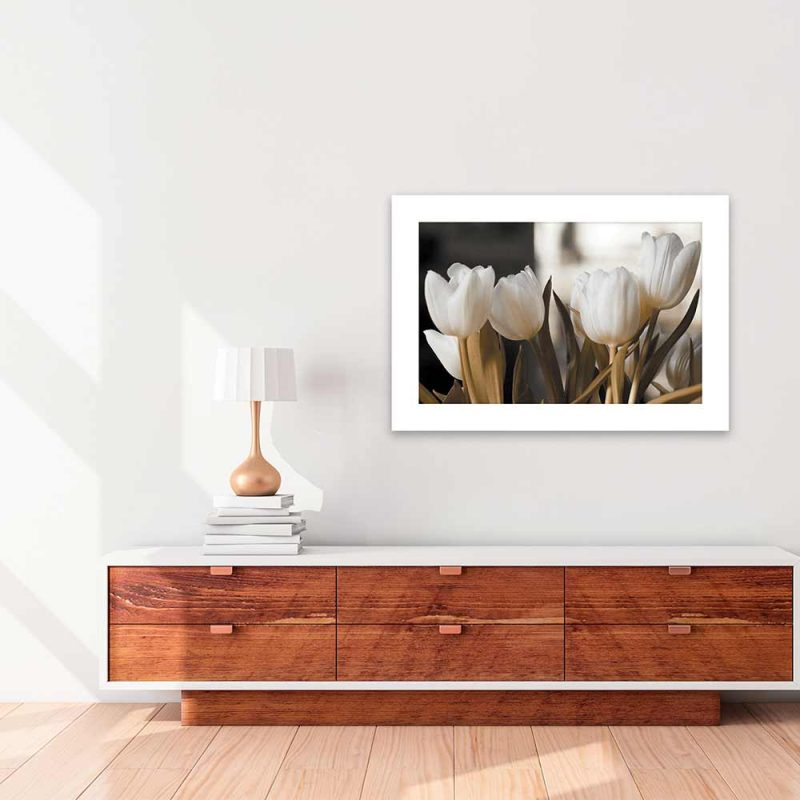 Plakat kwiaty tulipanów