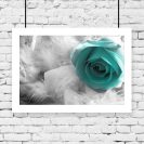 Plakat z motywem turkusowej róży