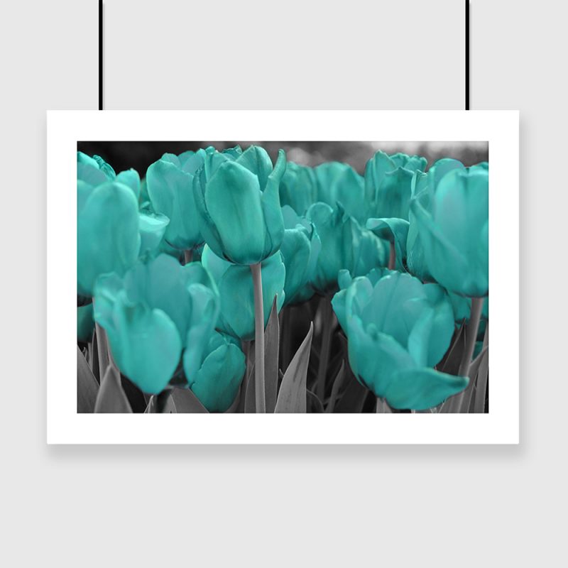 Plakat turkusowy z tulipanami