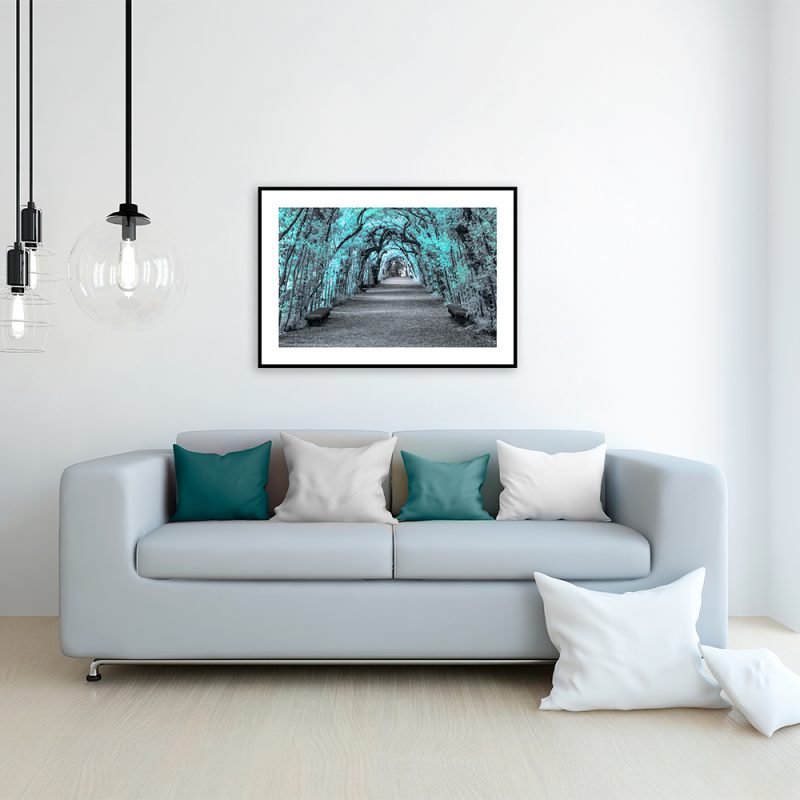 Plakat ogród boboli Plakat z motywem ogrodu