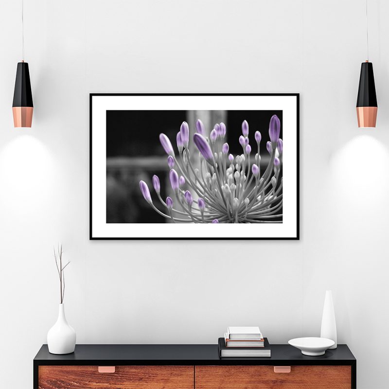 Plakat roślina z fioletowymi pąkami