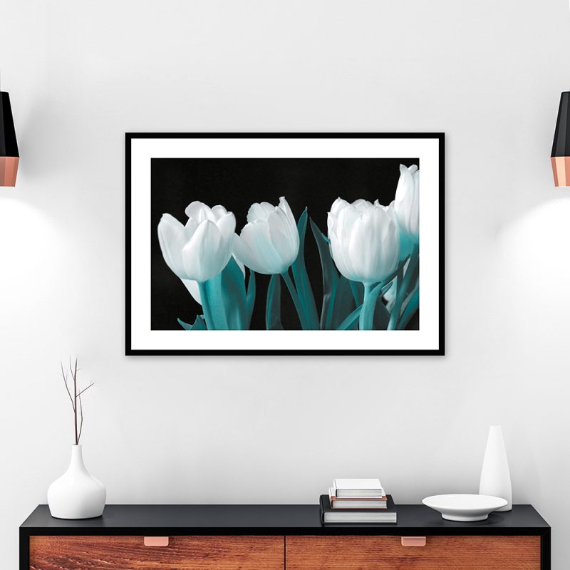 Plakat motyw tulipanów