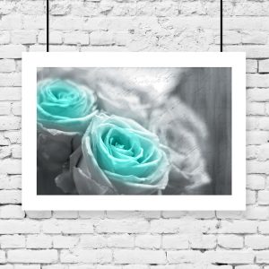 Plakat turkusowe róże