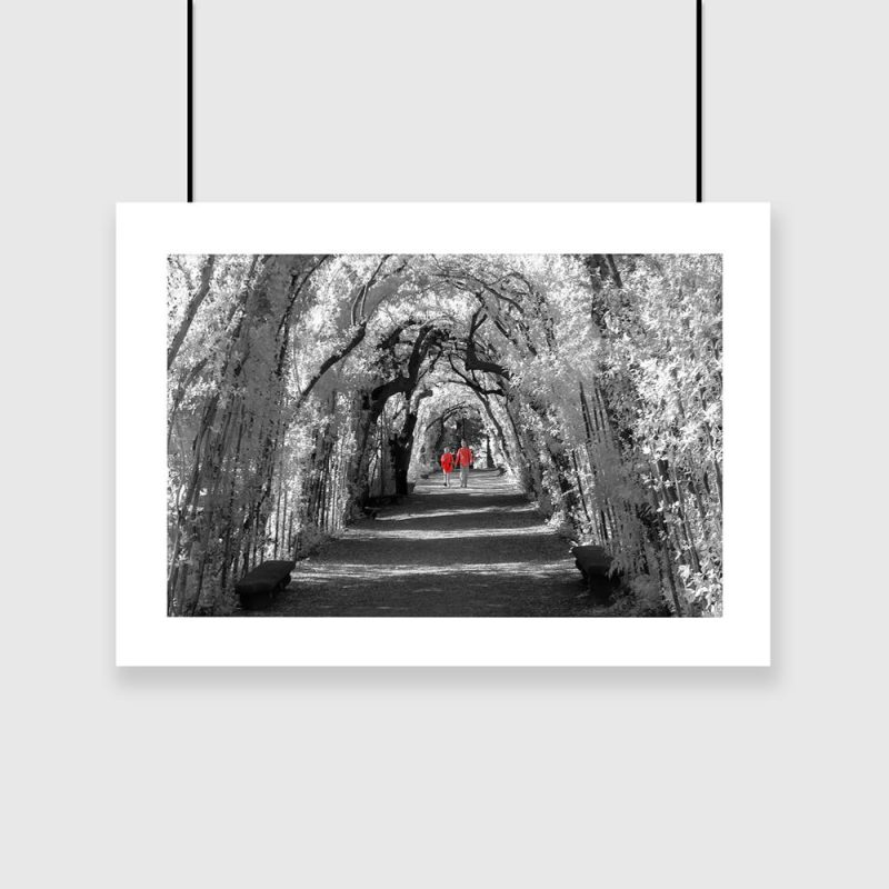 Czarno-biały plakat z motywem ogrodu boboli