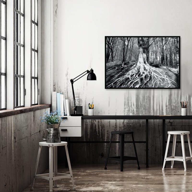 Plakat w kolorze czarno-białym Plakat drzewo