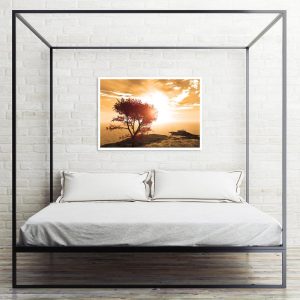 plakat wschód słońca i drzewo do sypialni