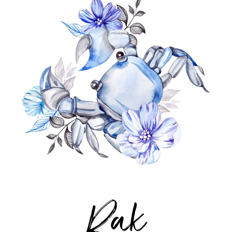 Plakat z rakiem Plakat z rakiem