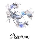 Plakat - Skorpion