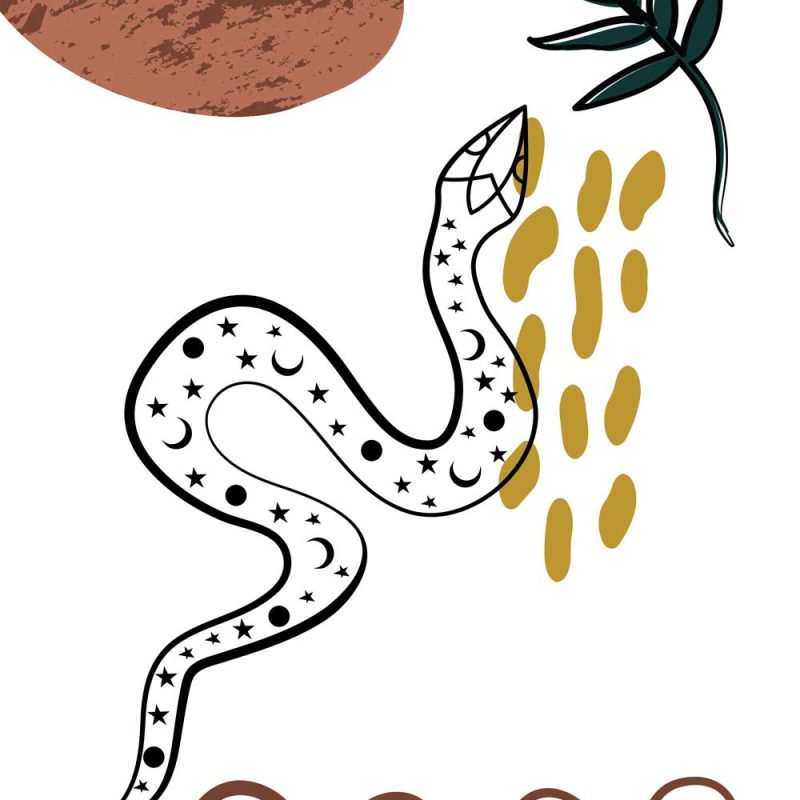 Plakat z rysunkiem węża