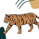Plakat bez ramy z tygrysem