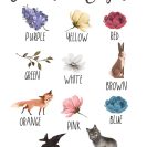Plakat z kolorami dla dzieci - Leśne zwierzęta