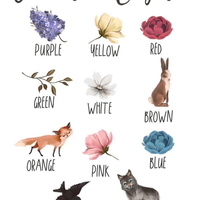 Plakat z kolorami dla dzieci - Leśne zwierzęta