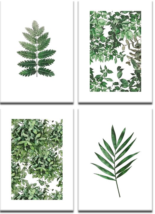 plakaty botaniczne