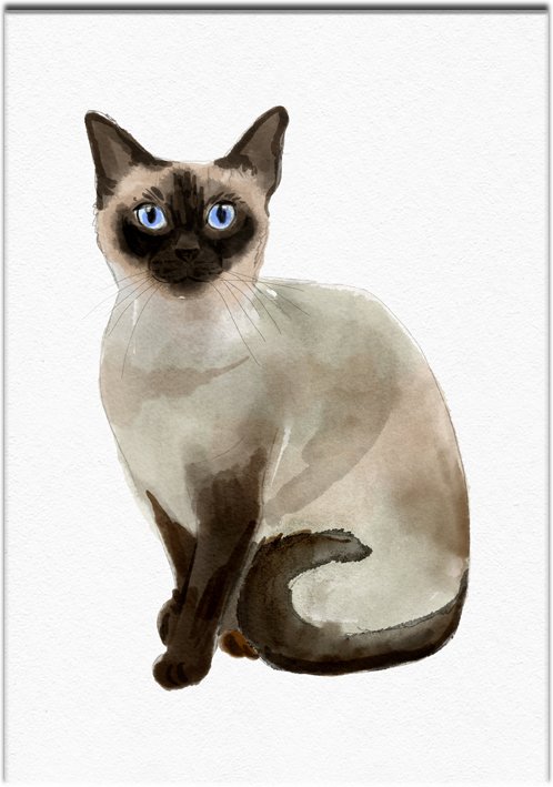 plakat z serii ras kotów