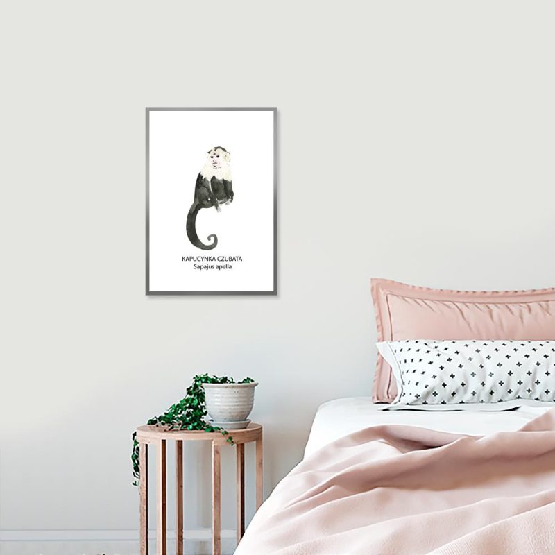 610972-p-w3 Plakat małpka