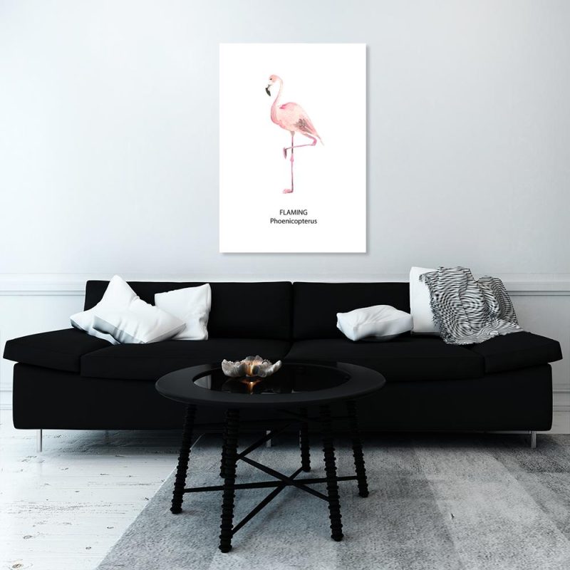 Plakat różowy ptak