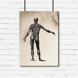Plakat anatomiczny do salonu