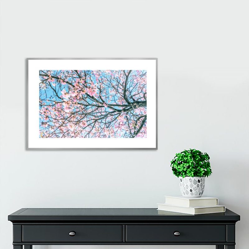 Plakat z kwitnącymi gałęziami drzew