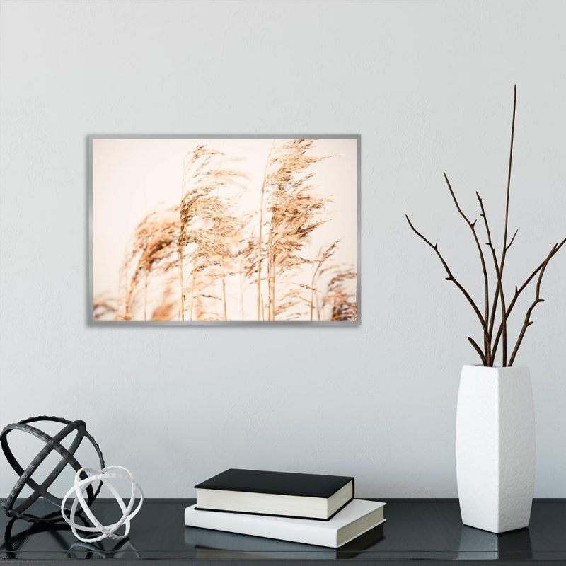 Plakat z motywem roślin polnych Plakat z trawami