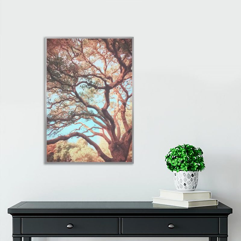 Plakat z gałęziami drzewa Plakat motyw drzewa