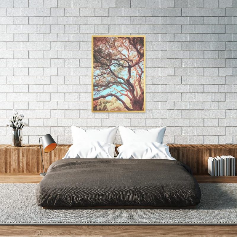 Plakat z motywem drzewa Plakat drzewo