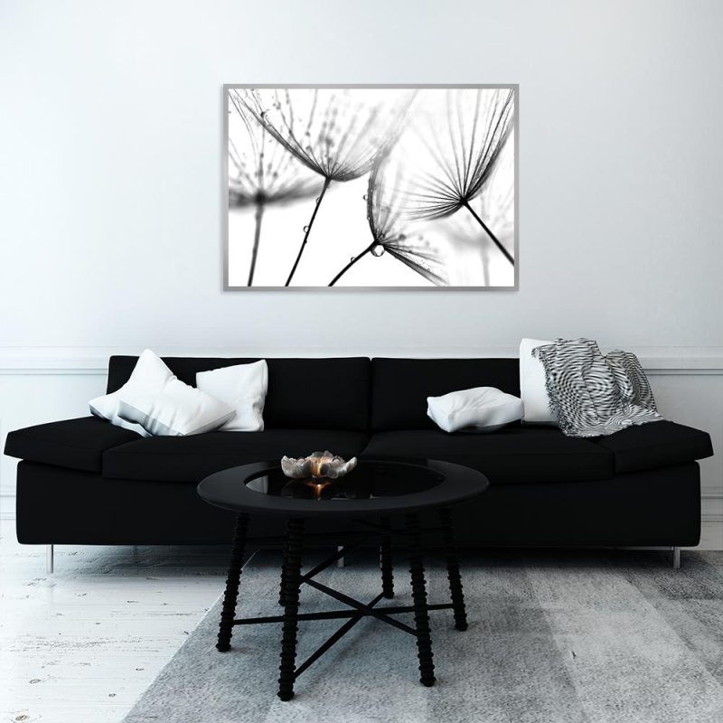 Plakat z dmuchawcami Plakat czarno-białe dmuchawce