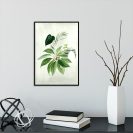 Plakat botaniczny z liśćmi
