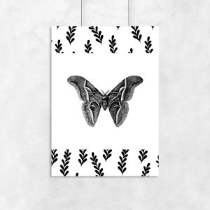 motyw motylka jako dekoracja