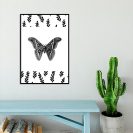 motyl czarny