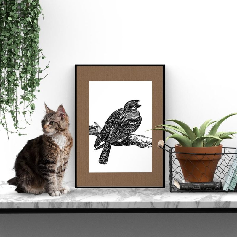 ptak jako dekoracja plakat z motywem ptaka