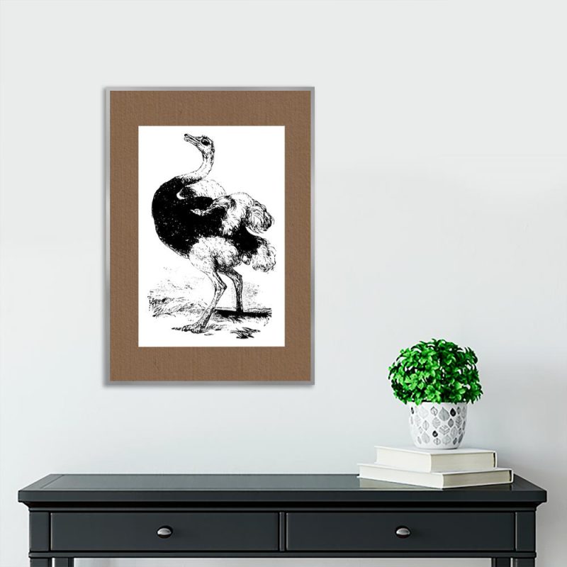 plakat ze strusiem plakat i struś