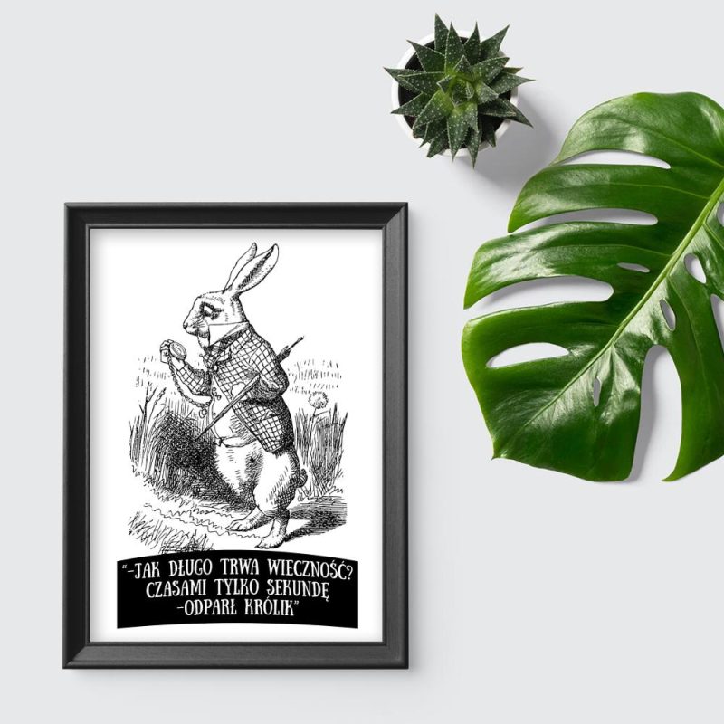 plakat Alicja w Krainie Czarów plakat cytat