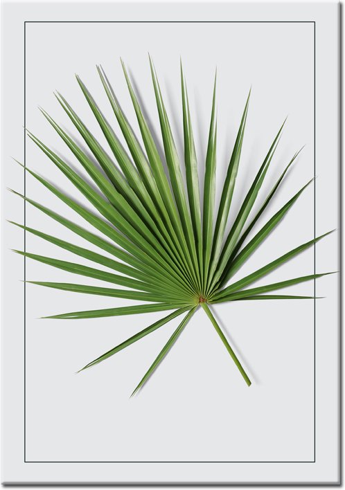 plakaty z palmą