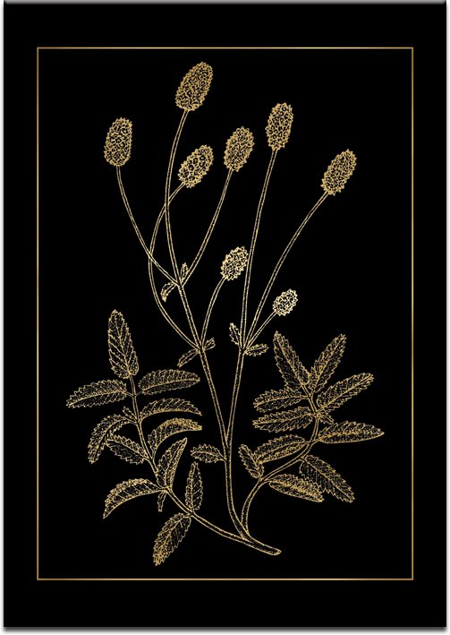 czarny plakat z motywem kwiatka