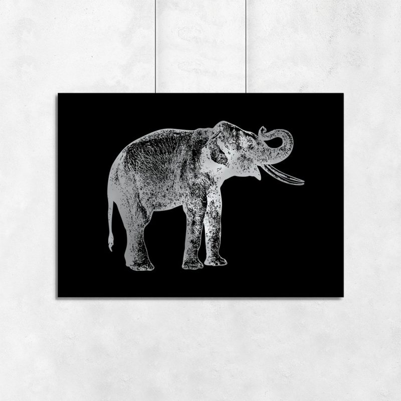 poziomy plakat i słoń