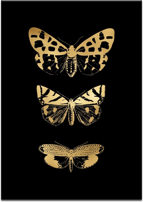 plakat z motylami metalicznymi