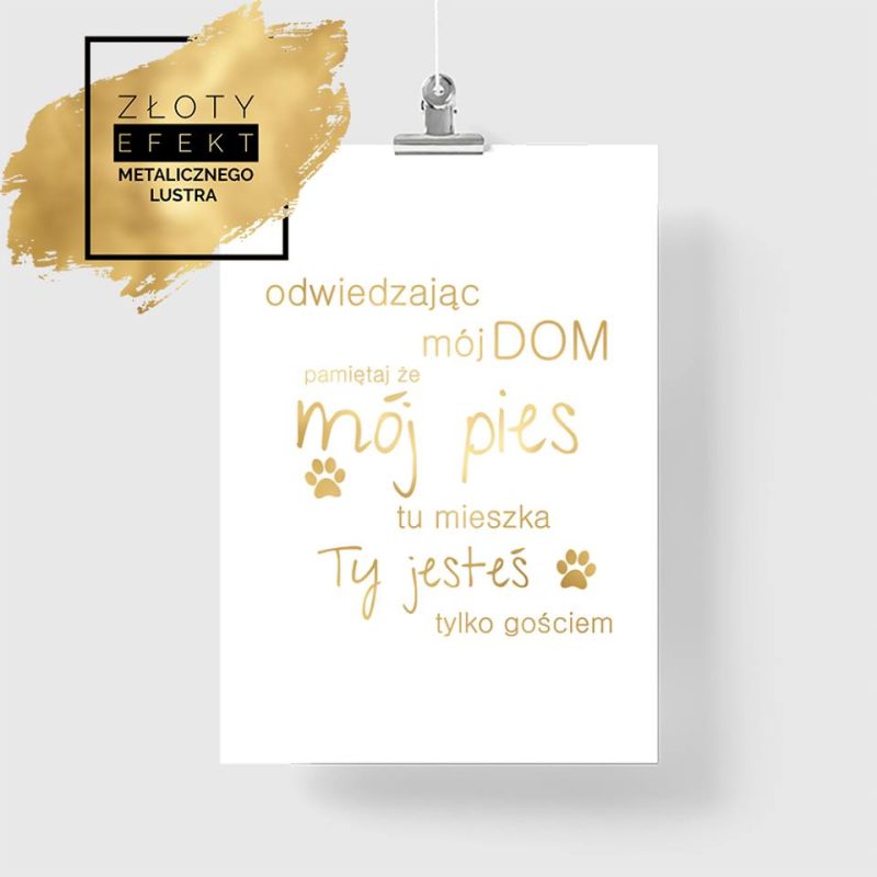 Złoty plakat " mój pies"
