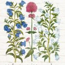 Barwny plakat botaniczny z kwiatami ogrodowymi do jadalni