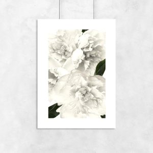 Plakat z białymi kwiatami