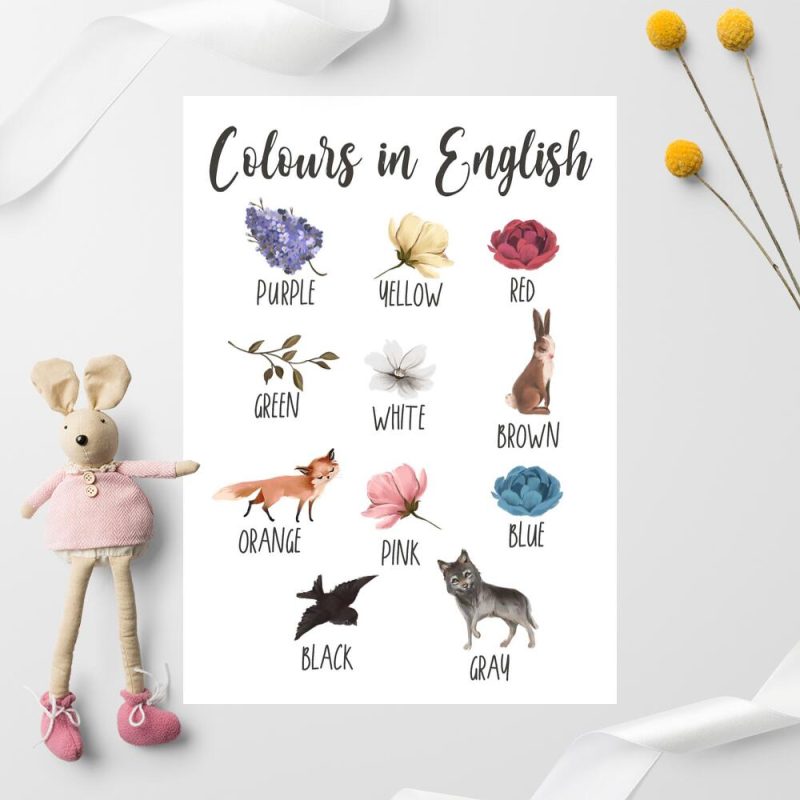 Edukacyjny plakat dziewczęcy z kolorami - Leśne zwierzęta